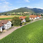 Διαμέρισμα Emma Gutach im Breisgau